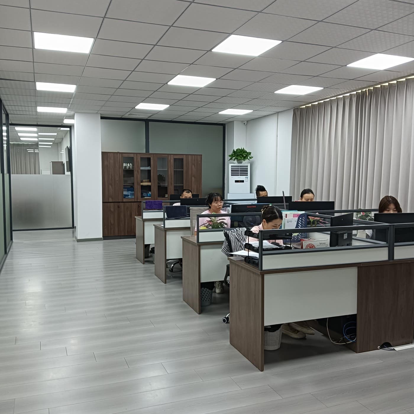 Junmei team working in the company office