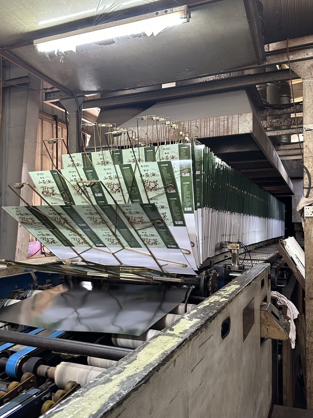 Printed tinplate passing through oven drying